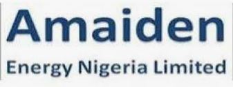 Amaiden Energy Nigeria Limited Job Recruitment for (4 Positions)