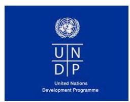 United Nations Development Programme (UNDP) Job Recruitment for (4 Positions)