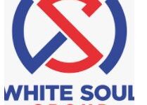 White Soul Group Job Recruitment  for (5 Positions)