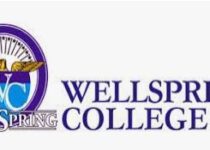 Wellspring College Needs a Resident School Nurse