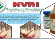 National Veterinary Research Institute Recruitment 2023/24